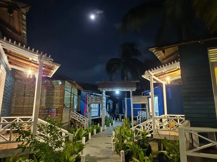 Island journal · 111