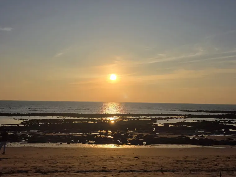 Island journal · 115